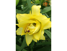 40,8���. ����� ������� ���(��� 5 ��. ���������� �� 2��.).jpg