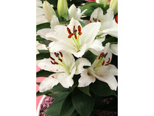 36,58���. ����� ��� �����(��� 5 ��. ���������� �� 2��.).jpg