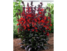 148,4���. ������� ������� ���������(�������� ���� �� 1 ��., ����������� ����� 1��.).jpg