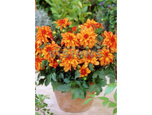 87,8���. �������� ������� �����(�������� ���� �� 1 ��., ����������� ����� 1��.)���16.jpg