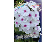 44,53���. ����� ���� ��������(�������� ���� �� 3 ��., ����������� ����� 1��.).jpg