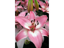 20,59���. ����� �������(��� 7 ��. ���������� �� 2��.).jpg