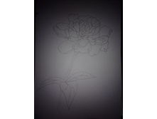 IMG 20161022 135143.jpg