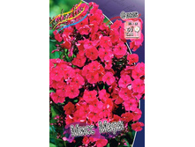 55,57���. ����� ���� ����(�������� ���� �� 3 ��., ����������� ����� 1��.).jpg