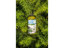 ����������� ���� ��� ���� "��������", 288,7