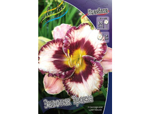 211,6���. �������� ������� �����(�������� ���� �� 1 ��., ����������� ����� 1��.).jpg