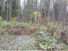DSCN3219.JPG