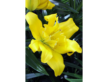 28,19���. ����� ������(��� 7 ��. ���������� �� 2��.).jpg