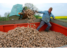 ��� ����� (��� ���) (1-� �����������) 42���..jpg