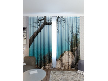 ������� ������.jpg