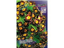 124,7���. ������� ���� ����(�������� ���� �� 1 ��., ����������� ����� 1��.).jpg