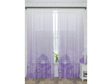 300062 ������� ����������.jpg