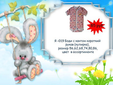 �-019 ���� � ������