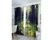 ������ �������.jpg