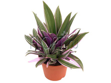 ������������ ������ ��� 12�25. 298,81 ���.jpg