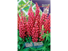 31,27���. ����� ��� �����(�������� ���� �� 3 ��., ����������� ����� 1��.).jpg