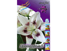 31,36���. ����� �����������(��� 5 ��. ���������� �� 2��.).jpg