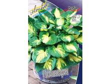 180���. ����� �������(�������� ���� �� 1 ��., ����������� ����� 1��.).jpg