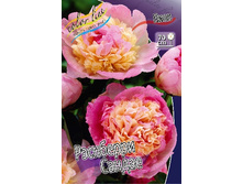 270,8���. ���� ��������� ������(�������� ���� �� 1 ��., ����������� ����� 1��.).jpg