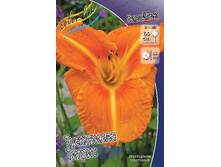 137,4���. �������� ���������� ������(�������� ���� �� 1 ��., ����������� ����� 1��.).jpg