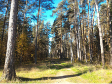 P 20161002 102214.jpg