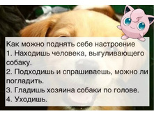 ���������)