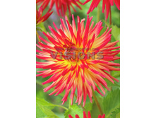 77,6���. �������� ������ ������ ������(�������� ���� �� 1 ��., ����������� ����� 1��.)���16.jpg