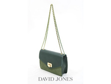 David Jones 3251 D.Green.jpg