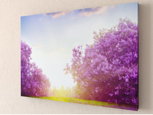 ��������� ��� 1-1.jpg