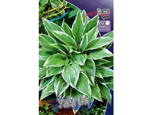 73,4���. ����� ���� ��(�������� ���� �� 2 ��., ����������� ����� 1��.).jpg