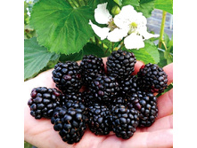 354���. ������� ��������� ������.jpg