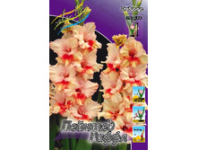 9,11���. ��������� ������� �������(���������� ������ ������ ���������� �� 8 ��.).jpg