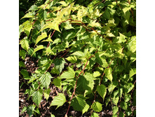 120���. ����������� ��������������� ������.jpg