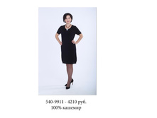 540-9911 4210���.jpg