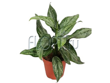 ��������� ������� �������� 12�35. 463,05 ���.jpg