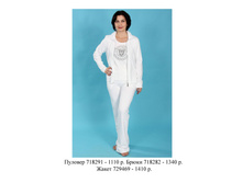 718291 1110 ���.jpg