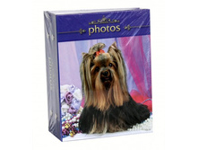 93���. ��� ��-00002430 V ���������� 100 47009 ������ ����.jpg