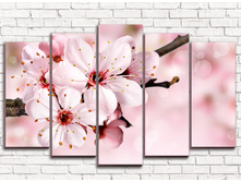 ����� 5-1.jpg