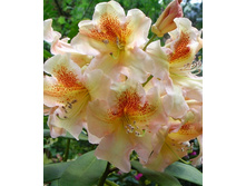 301���. ����������� ��������� ���������.jpg