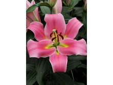 36,58���. ����� ��������(��� 5 ��. ���������� �� 2��.).jpg