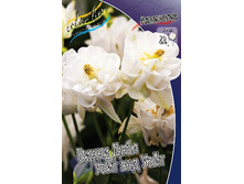 78,15���. ��������� ����� ���� ���� ��� ����(�������� ���� �� 2 ��., ����������� ����� 1��.).jpg