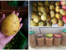 ����� - � ������ ��� ��������� . �������� ����