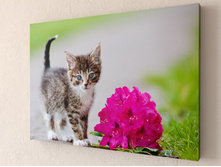 ����� 1-1.jpg