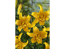 43���. ����� ���������(��� 5 ��. ���������� �� 2��.).jpg