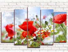 ���� ���� 5-1.jpg