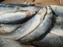 ������  370-380 ��