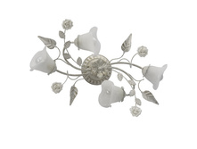 242014704 3500�.jpg