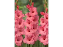 9,7���. ��������� ���������(���������� ������ ������ ���������� �� 7 ��.).jpg