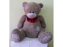 2551_������ ������� ������� �����_������ 62 ��_1300 ���+%