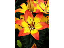 23,92���. ����� �������� ����(��� 5 ��. ���������� �� 2��.)���16.jpg